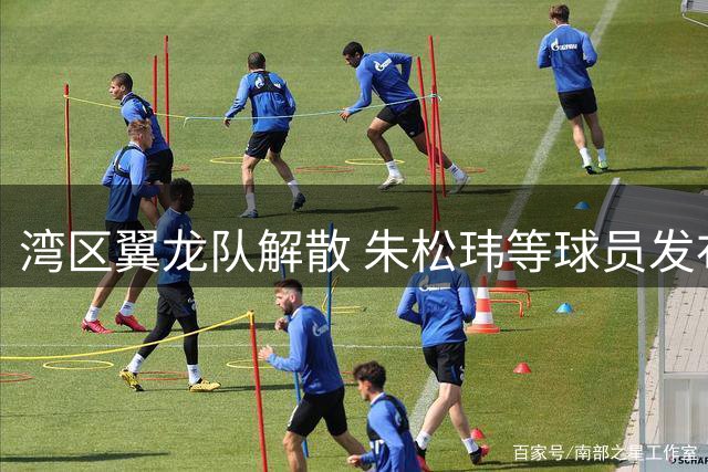 湾区翼龙队解散 朱松玮等球员发布声明维权