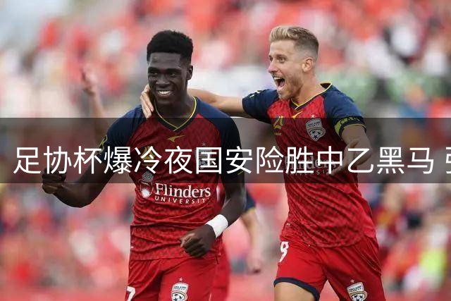 足协杯爆冷夜国安险胜中乙黑马 张玉宁关键破门助队晋级